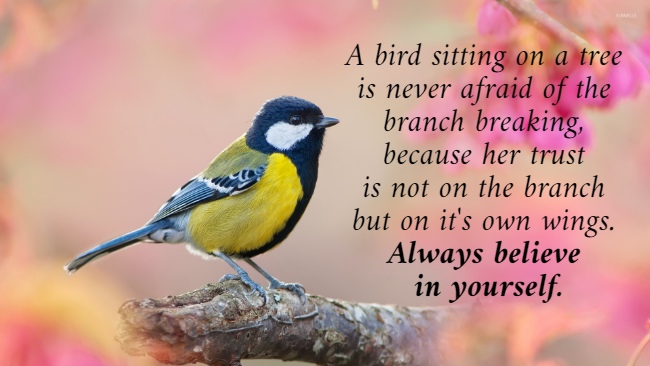 A bird sitting on a tree  is never afraid of the  branch breaking,  because her trust  is not on the branch  but on it's own wings.  Always believe  in yourself.