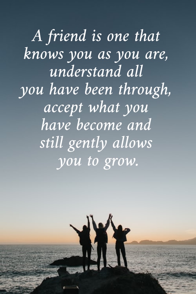A friend is one that  knows you as you are,  understand all  you have been through,  accept what you  have become and  still gently allows  you to grow.