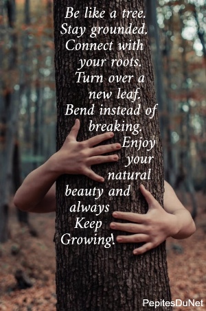  Be like a tree.  Stay grounded.   Connect with      your roots.     Turn over a        new leaf.   Bend instead of        breaking.               Enjoy                your            natural   beauty and    always     Keep  Growing!