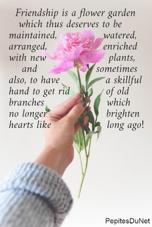   Friendship is a flower garden     which thus deserves to be  maintained,              watered,  arranged,                 enriched  with new                   plants,      and                  sometimes  also, to have              a skillful  hand to get rid           of old  branches                   which  no longer                  brighten  hearts like                 long ago!