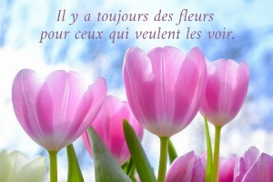 Il y a toujours des fleurs  pour ceux qui veulent les voir.