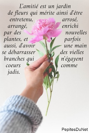           L'amiti&eacute; est un jardin      de fleurs qui m&eacute;rite ainsi d'&ecirc;tre       entretenu,               arros&eacute;,      arrang&eacute;,                  enrichi    par des                       nouvelles                   plantes, et                   parfois                         aussi, d'avoir               une main               habile pour   se d&eacute;barrasser             des vielles                  branches qui              n'&eacute;gayent                    plus les                           coeurs                     comme      jadis.