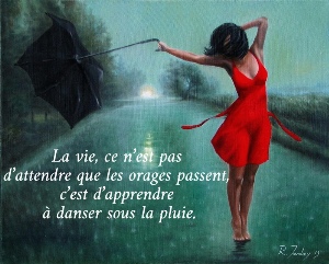 La vie, ce n&rsquo;est pas  d&rsquo;attendre que les orages passent,  c&rsquo;est d&rsquo;apprendre  &agrave; danser sous la pluie. 