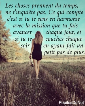 Les choses prennent du temps,  ne t&rsquo;inqui&egrave;te pas. Ce qui compte   c&rsquo;est si tu te sens en harmonie      avec la mission que tu fais      avancer       chaque jour, et       si tu te       couches chaque          soir       en ayant fait un                      petit pas de plus.