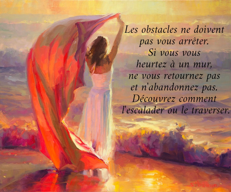 Les obstacles ne doivent  pas vous arrêter.  Si vous vous  heurtez à un mur,  ne vous retournez pas  et n'abandonnez pas.  Découvrez comment  l'escalader ou le traverser. 