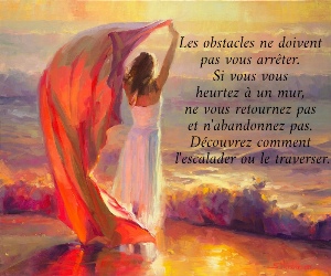 Les obstacles ne doivent  pas vous arr&ecirc;ter.  Si vous vous  heurtez &agrave; un mur,  ne vous retournez pas  et n'abandonnez pas.  D&eacute;couvrez comment  l'escalader ou le traverser. 
