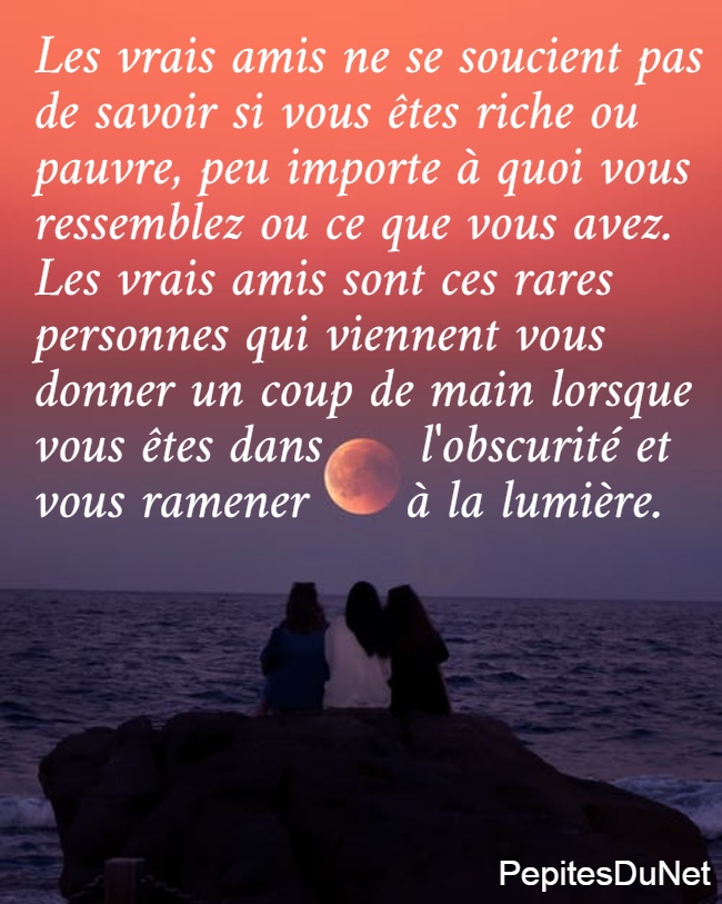 Les vrais amis ne se soucient pas  de savoir si vous êtes riche ou  pauvre, peu importe à quoi vous  ressemblez ou ce que vous avez.  Les vrais amis sont ces rares  personnes qui viennent vous  donner un coup de main lorsque  vous êtes dans      l'obscurité et  vous ramener      à la lumière.
