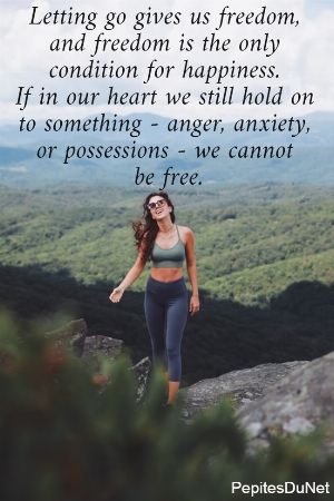 Letting go gives us freedom,  and freedom is the only  condition for happiness.  If in our heart we still hold on  to something - anger, anxiety,  or possessions - we cannot  be free.