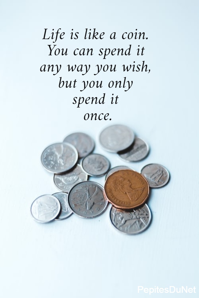 Life is like a coin.  You can spend it  any way you wish,  but you only  spend it  once.