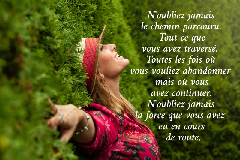 N'oubliez jamais  le chemin parcouru. Tout ce que  vous avez traversé.  Toutes les fois où  vous vouliez abandonner mais où vous  avez continuer.  N'oubliez jamais  la force que vous avez  eu en cours  de route.