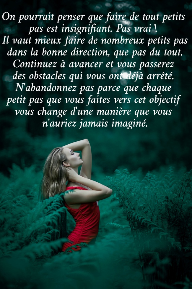 On pourrait penser que faire de tout petits  pas est insignifiant. Pas vrai !  Il vaut mieux faire de nombreux petits pas dans la bonne direction, que pas du tout. Continuez à avancer et vous passerez  des obstacles qui vous ont déjà arrêté.  N'abandonnez pas parce que chaque  petit pas que vous faites vers cet objectif  vous change d'une manière que vous  n'auriez jamais imaginé.