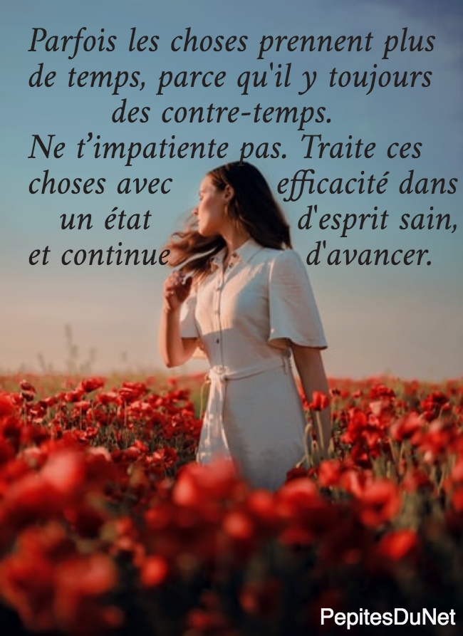 Parfois les choses prennent plus  de temps, parce qu'il y toujours          des contre-temps.  Ne t’impatiente pas. Traite ces  choses avec          efficacité dans     un état              d'esprit sain,  et continue             d'avancer.