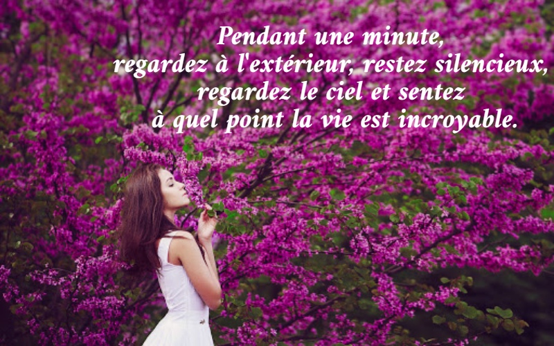 Pendant une minute,  regardez à l'extérieur, restez silencieux,  regardez le ciel et sentez  à quel point la vie est incroyable.