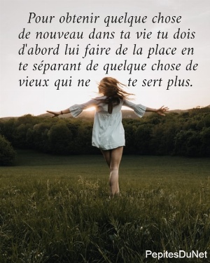   Pour obtenir quelque chose  de nouveau dans ta vie tu dois  d'abord lui faire de la place en  te s&eacute;parant de quelque chose de  vieux qui ne        te sert plus.