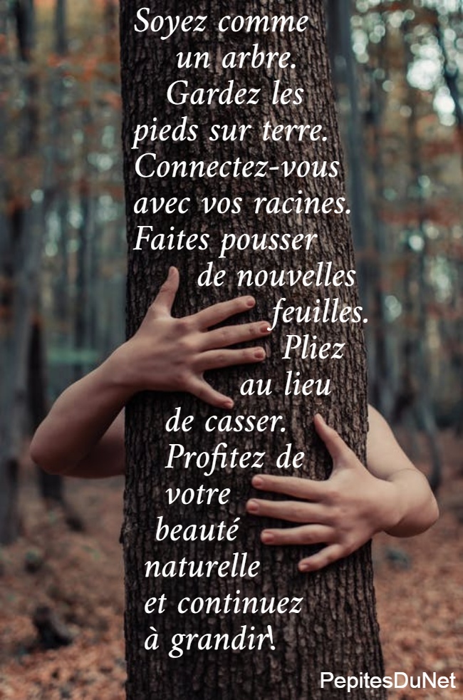 Soyez comme     un arbre.     Gardez les  pieds sur terre.  Connectez-vous  avec vos racines.  Faites pousser        de nouvelles               feuilles.                Pliez            au lieu     de casser.     Profitez de     votre    beauté   naturelle   et continuez   à grandir!
