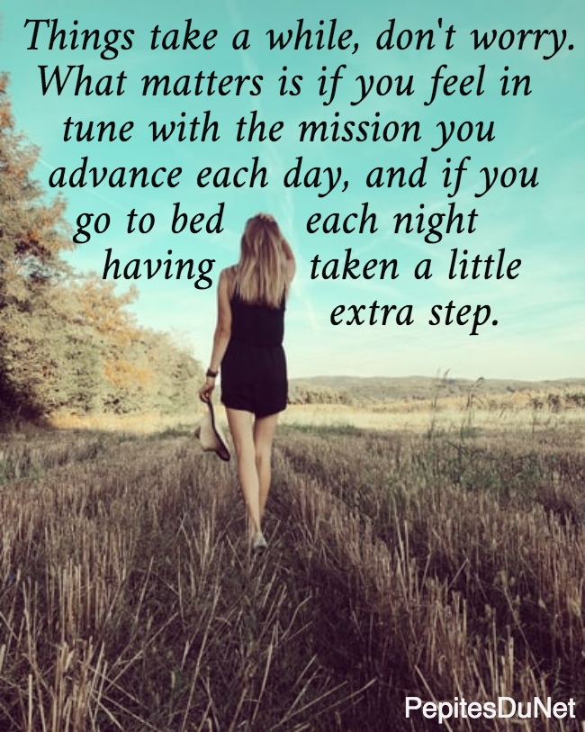 Things take a while, don't worry.   What matters is if you feel in     tune with the mission you    advance each day, and if you      go to bed      each night        having       taken a little                         extra step.