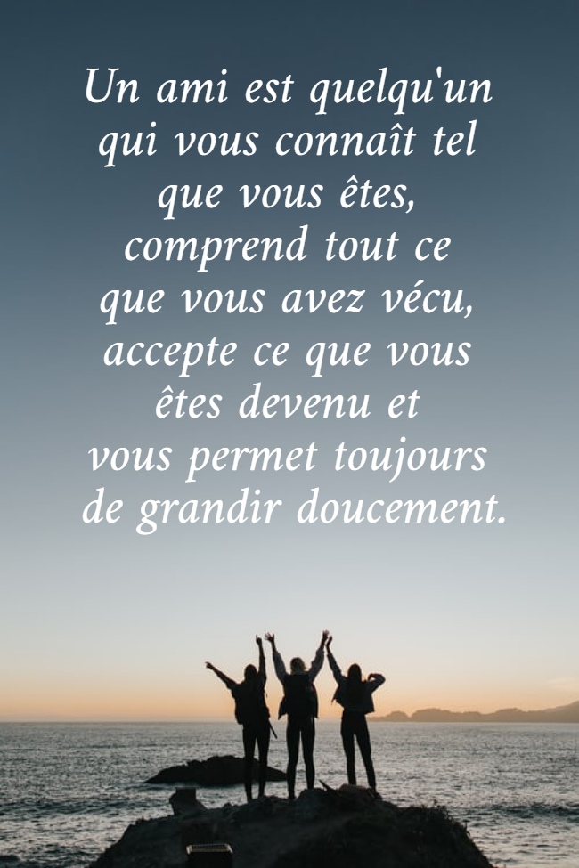 Un ami est quelqu'un  qui vous connaît tel  que vous êtes,  comprend tout ce  que vous avez vécu,  accepte ce que vous  êtes devenu et  vous permet toujours  de grandir doucement.