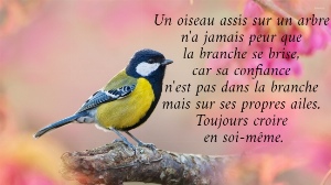 Un oiseau assis sur un arbre  n'a jamais peur que  la branche se brise,  car sa confiance  n'est pas dans la branche  mais sur ses propres ailes.  Toujours croire  en soi-m&ecirc;me.