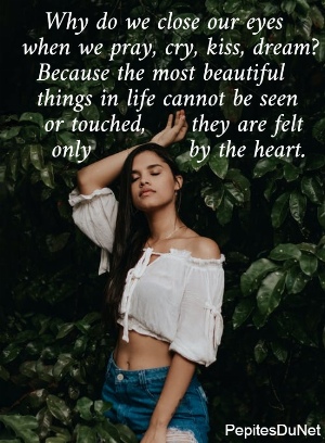    Why do we close our eyes  when we pray, cry, kiss, dream?    Because the most beautiful    things in life cannot be seen     or touched,      they are felt      only             by the heart.