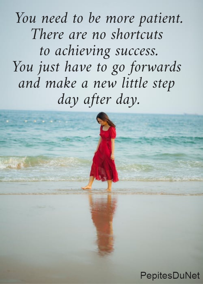 You need to be more patient. There are no shortcuts  to achieving success. You just have to go forwards  and make a new little step  day after day.