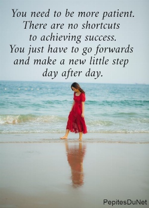 You need to be more patient. There are no shortcuts  to achieving success. You just have to go forwards  and make a new little step  day after day.
